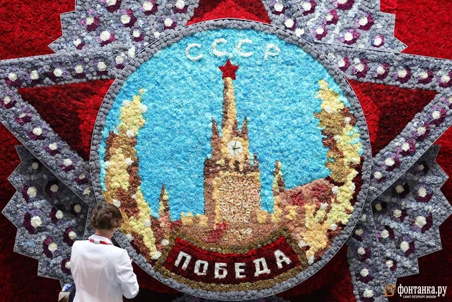 Источник: Дарья Драй / «Фонтанка.ру»