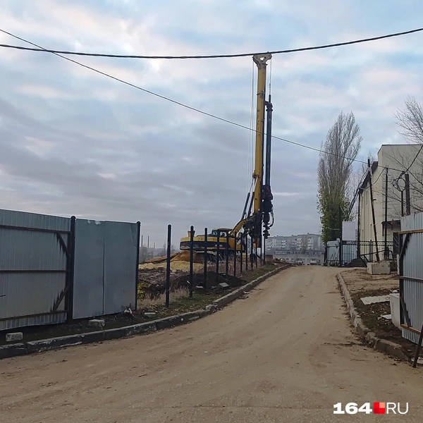 Источник: Сергей Гендин / 164.RU