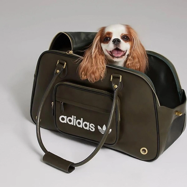 Источник: Adidas China / соцсети