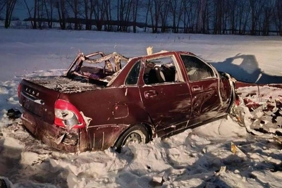 Unlicensed Young Driver Crashes Into Horses on Omsk Road