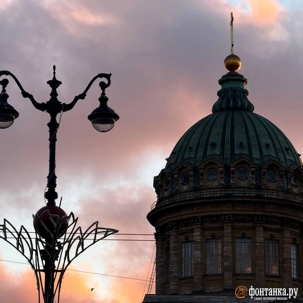 Источник: Марина Мамонтова / FONTANKA.RU