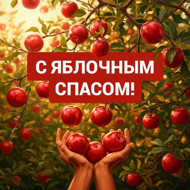 Источник: Полина Авдошина / Городские медиа