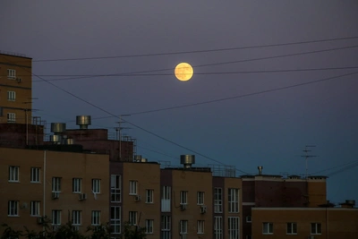 Волчья Луна взойдет над Нижегородской областью