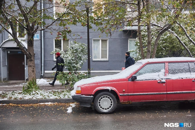 Новосибирцы недолго смогли наслаждаться золотой осенью | Источник: Александр Ощепков / NGS.RU
