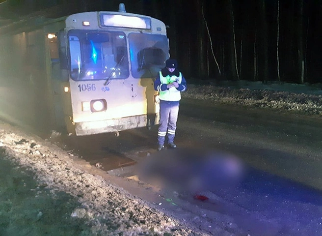 Полиция опубликовала фотографии с места смертельного ДТП с троллейбусом на окраине Рязани | ya62.ru