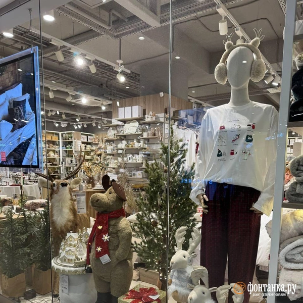 Источник: Евгения Горбунова / «Фонтанка.ру»