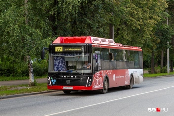 В автопарке требуют не ограничивать обзор днем, но некоторые ездят занавешенными | Источник: Владимир Зыкин