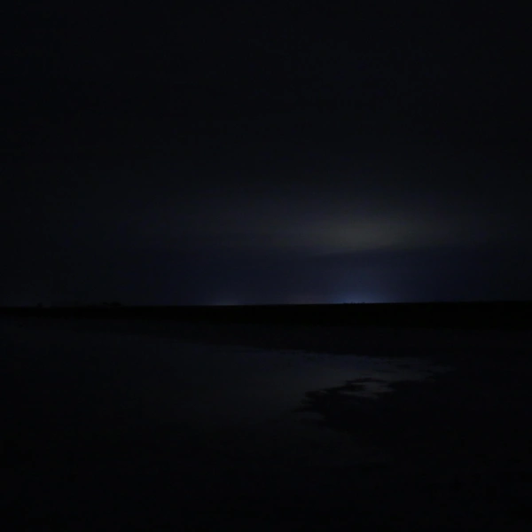 Источник: Наталья Пронина