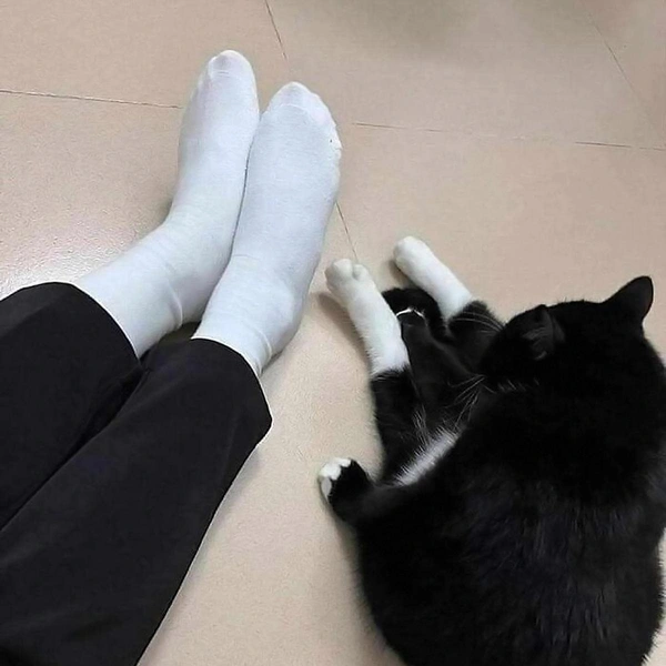 Источник: соцсети