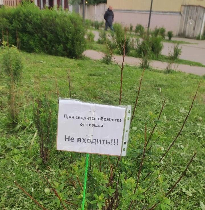 Тоже Чумбаровка | Источник: Юрий Скородумов