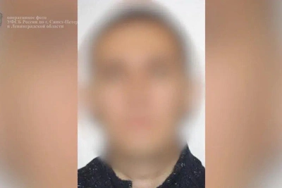 Петербуржец получил год колонии за разглашение гостайны