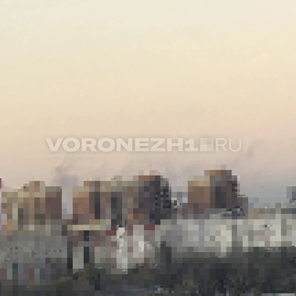 Источник: Андрей Пашинский / Voronezh1.ru