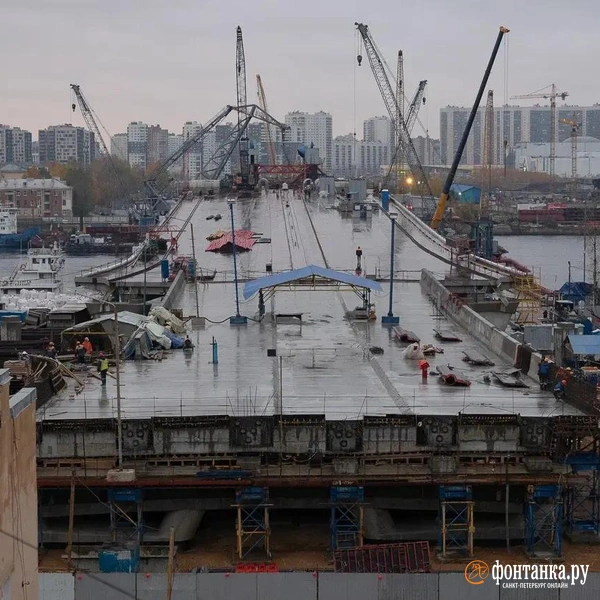 Источник: Сергей Николаев / «Фонтанка.ру»