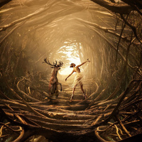 Аватарка sokol