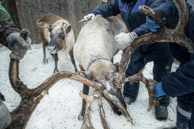 Источник: Анна Захарова