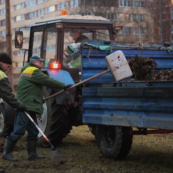 Источник: Комитет по благоустройству Петербурга