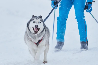 Прогноз погоды на выходные в Иркутске: температура поднимется