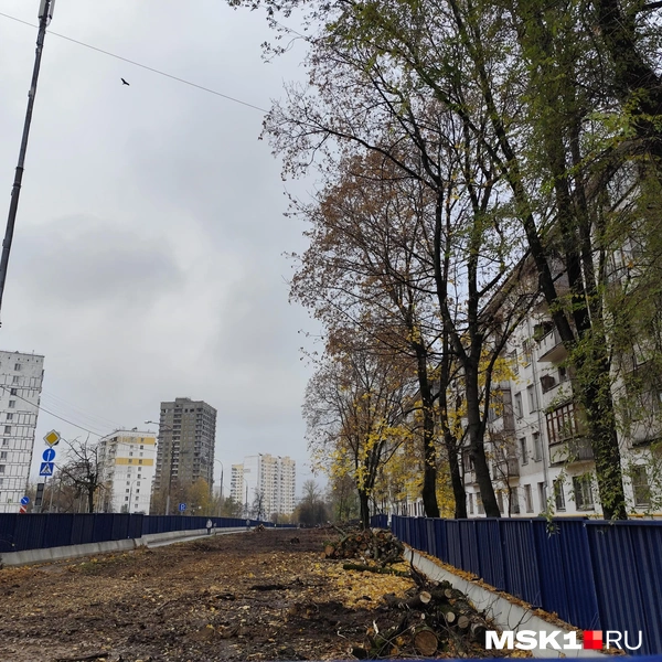 Источник: Игорь Мещанев / MSK1.RU