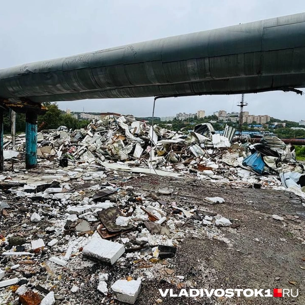 Источник: Елена Буйвол / VLADIVOSTOK1.RU