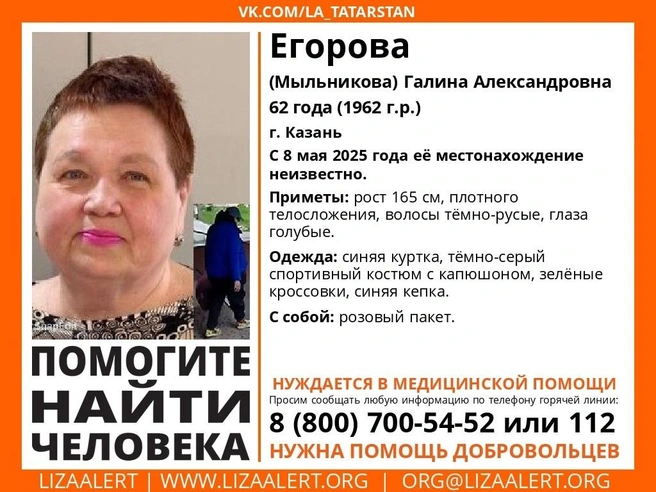 Источник: Поисковый отряд «ЛизаАлерт» Республики Татарстан / Vk.com