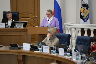 Депутаты Новгородской области заслушали доклад о соцподдержке