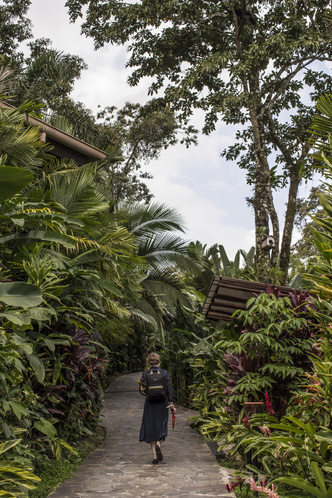 Отель в джунглях Коста-Рики