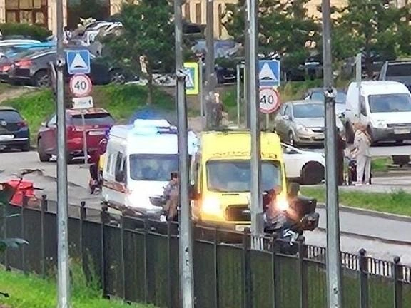 «Вы эту собаку видели, какая она страшная?» Мужчина требует усыпить пса, который покусал его дочь | Источник: Мегаполис | ДТП и ЧП | Санкт-Петербург