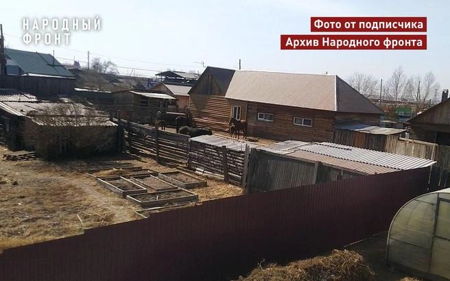 Животных нельзя было держать на этом земельном участке | Источник: «Народный фронт | Забайкалье» / T.me