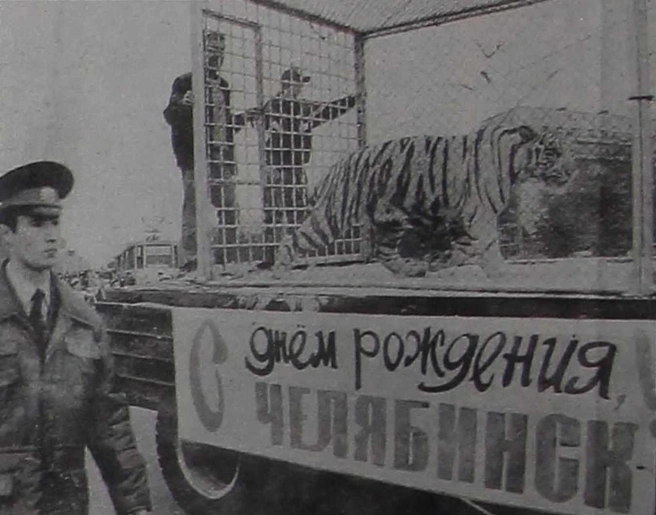 Тигры-альбиносы в центре&nbsp;— да, вам не показалось, такое тоже было | Источник: Борис Каулин