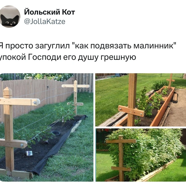 Источник: X (Twitter)