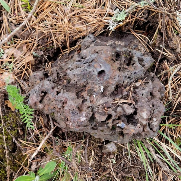 Предоставлено ЦСА ИИМК РАН