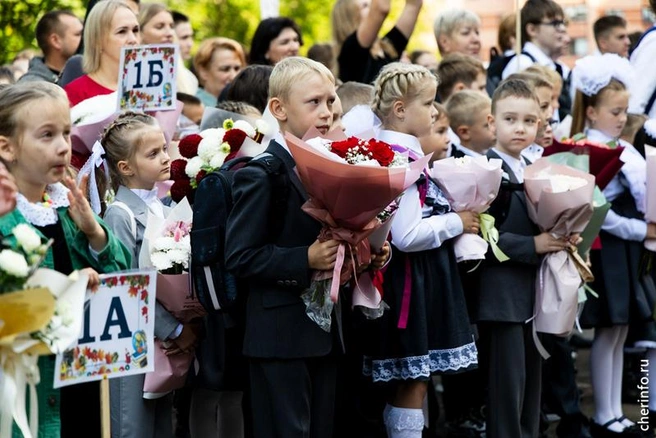 Источник: st.cherinfo.ru