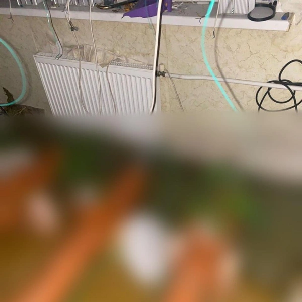 Источник: Официальный телеграмм-канал ГУ МВД России по Санкт-Петербургу и Ленинградской области