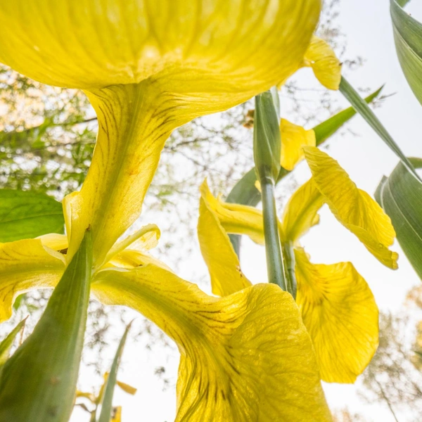 Одна из работ победителя в номинации Fred Hazelhoff Portfolio Award | Источник: Theo Bosboom / Nature Photographer of the Year 2025