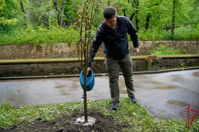 Источник: 60.rosguard.gov.ru