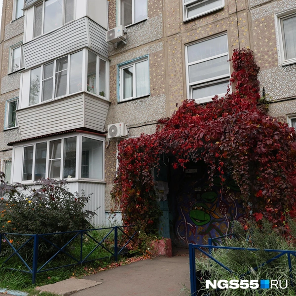 Из-под пышных растений выглядывают черепашки-ниндзя | Источник: Евгений Софийчук / NGS55.RU