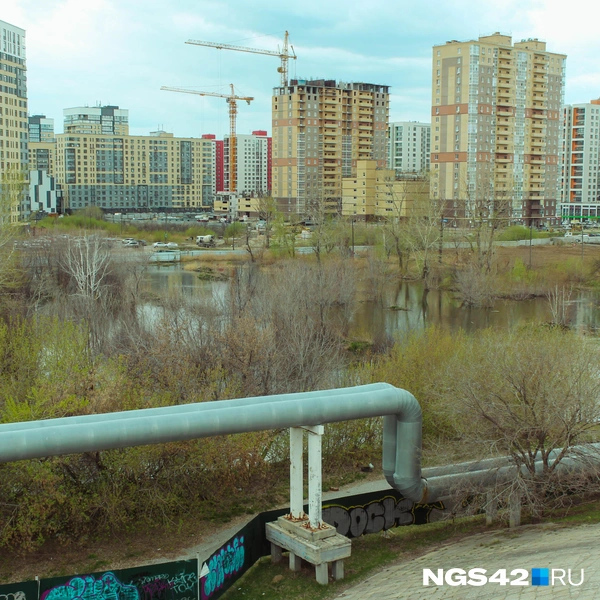 Источник: Александр Левчук / NGS42.RU