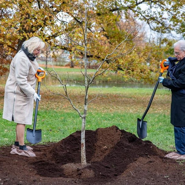 Источник: ГМЗ «Царское село»