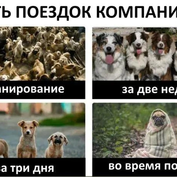 Источник: T-J.ru
