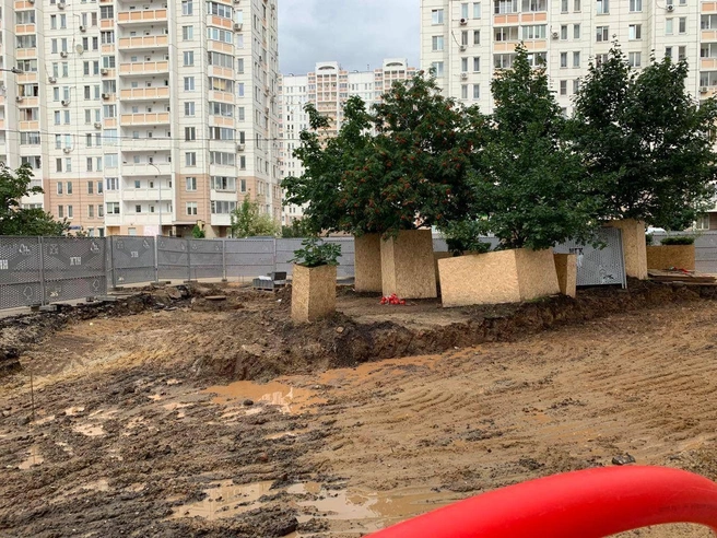 Источник: читательница MSK1.RU Евгения