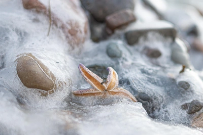 Forecasters identify warmest day in early February for Primorye