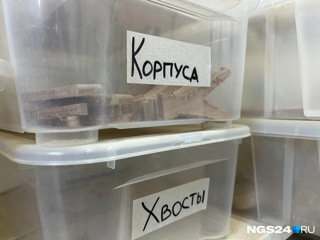 Птички&nbsp;— отдельно, хвосты&nbsp;— отдельно | Источник: Алексей Тайганавт / NGS24.RU