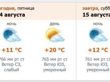 Скриншот с meteо.nw.ru