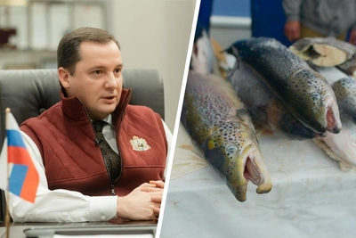 Губернатор: рыба станет доступнее с 2027 года
