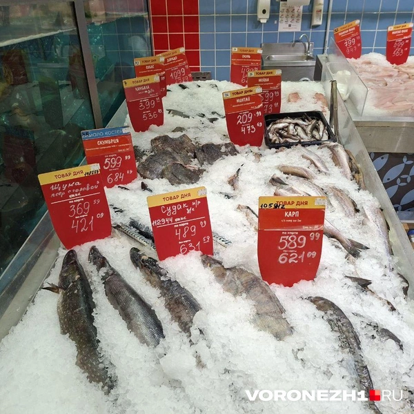 Источник: Алёна Воропаева / Voronezh1.ru