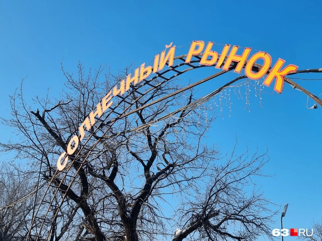 Добро пожаловать! И посторонним вход не воспрещен | Источник: Роман Данилкин / 63.RU 