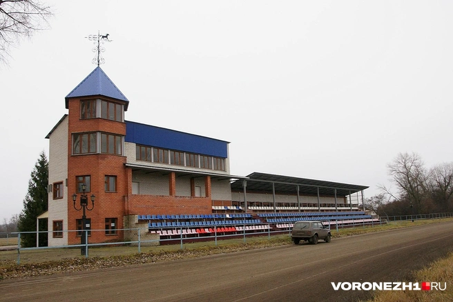 У Чесменского конезавода свой ипподром — это и «спортзал» под открытым небом, и площадка для состязаний | Источник: Александр Зинченко / Voronezh1.ru