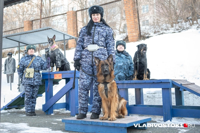 Источник: Елена Буйвол / VLADIVOSTOK1.RU