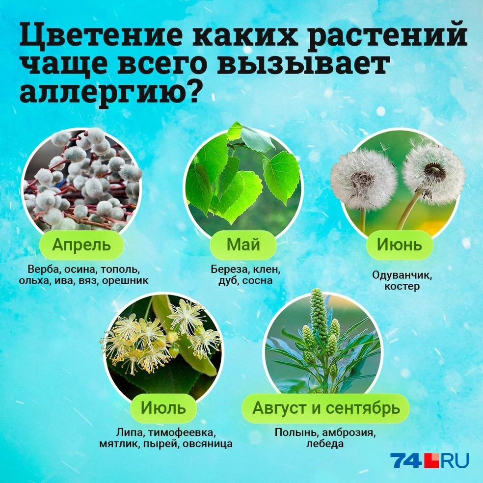 Источник: Семен Казьмин / Городские медиа