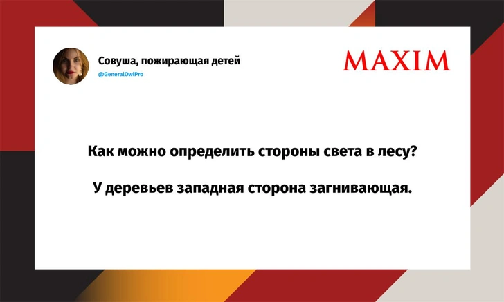 Шутки понедельника и «запечь коня в собственном скаку» | Источник: X (Twitter)
